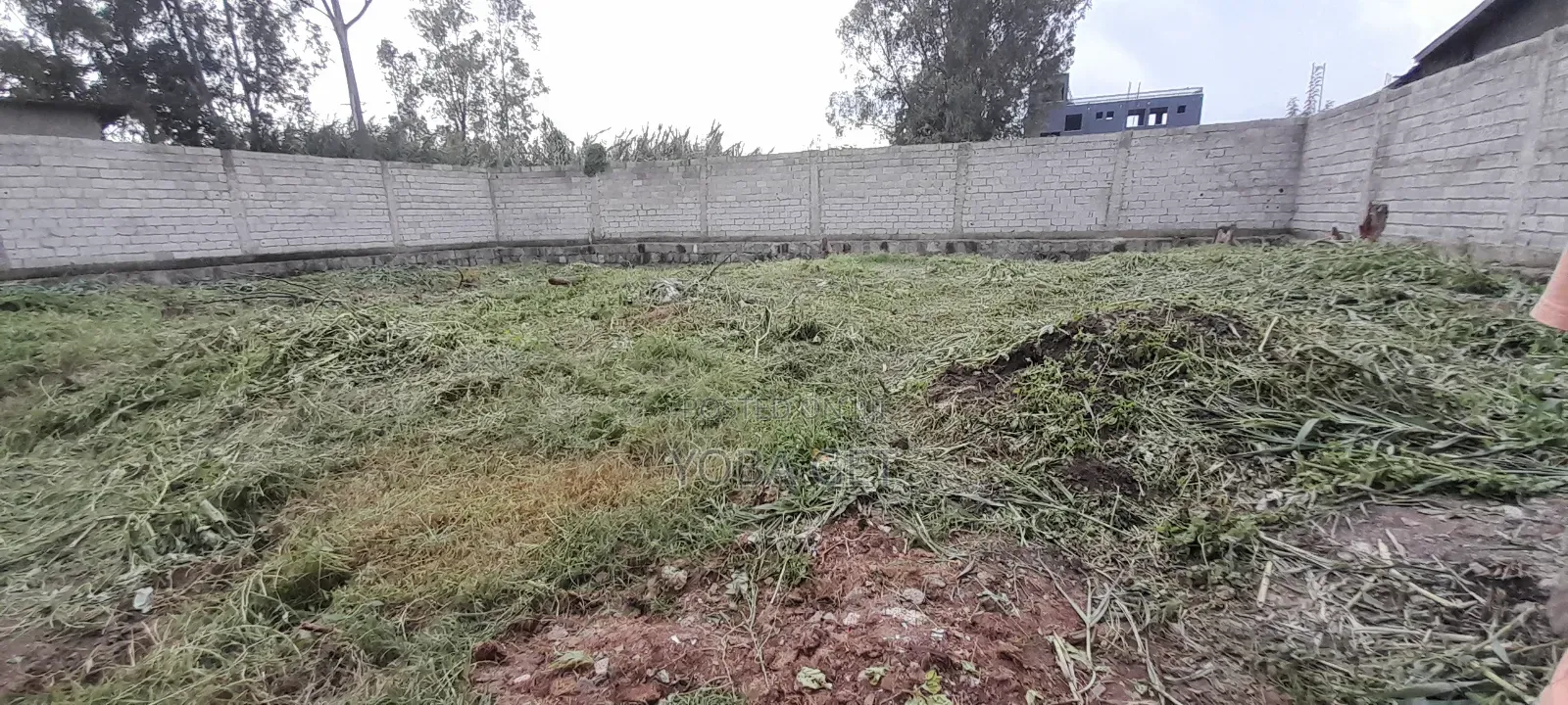 አስቸካይ የሚሸጥ ቤት