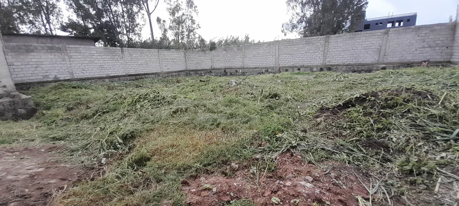 አስቸካይ የሚሸጥ ቤት