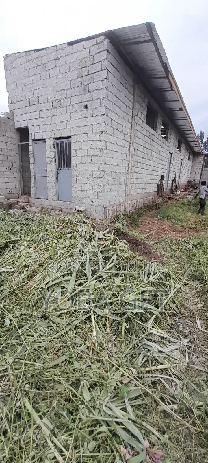 አስቸካይ የሚሸጥ ቤት