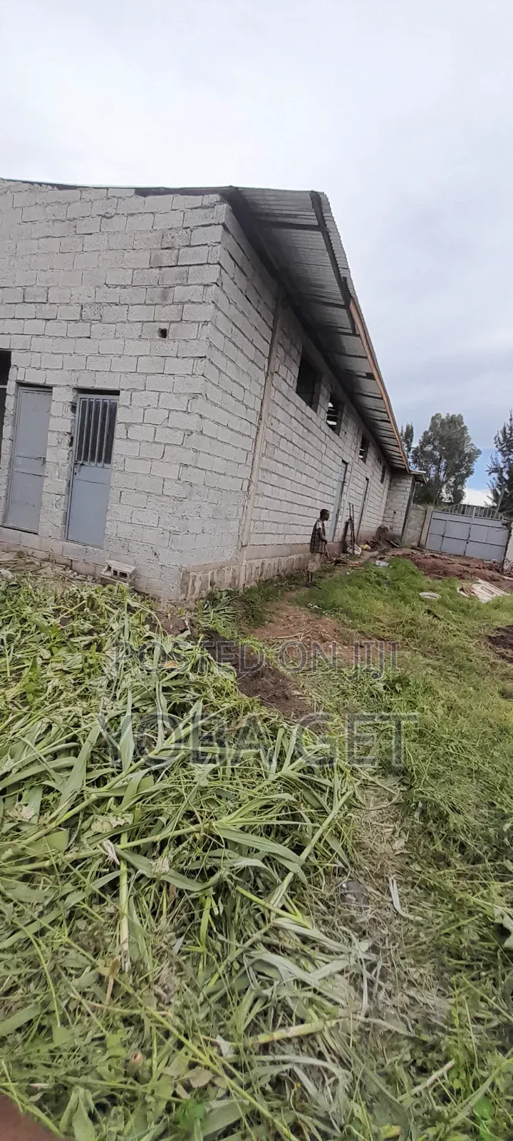 አስቸካይ የሚሸጥ ቤት