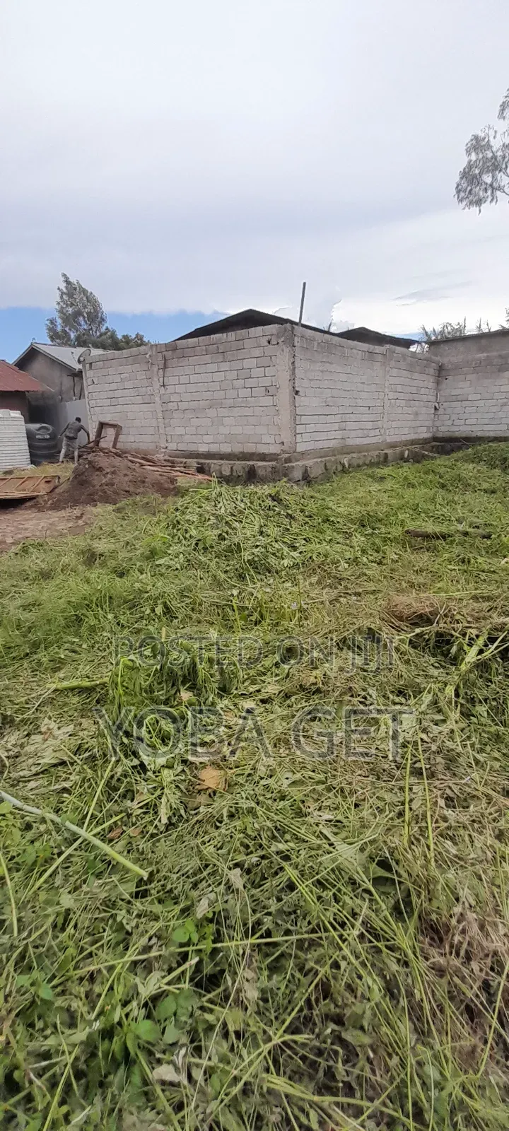 አስቸካይ የሚሸጥ ቤት