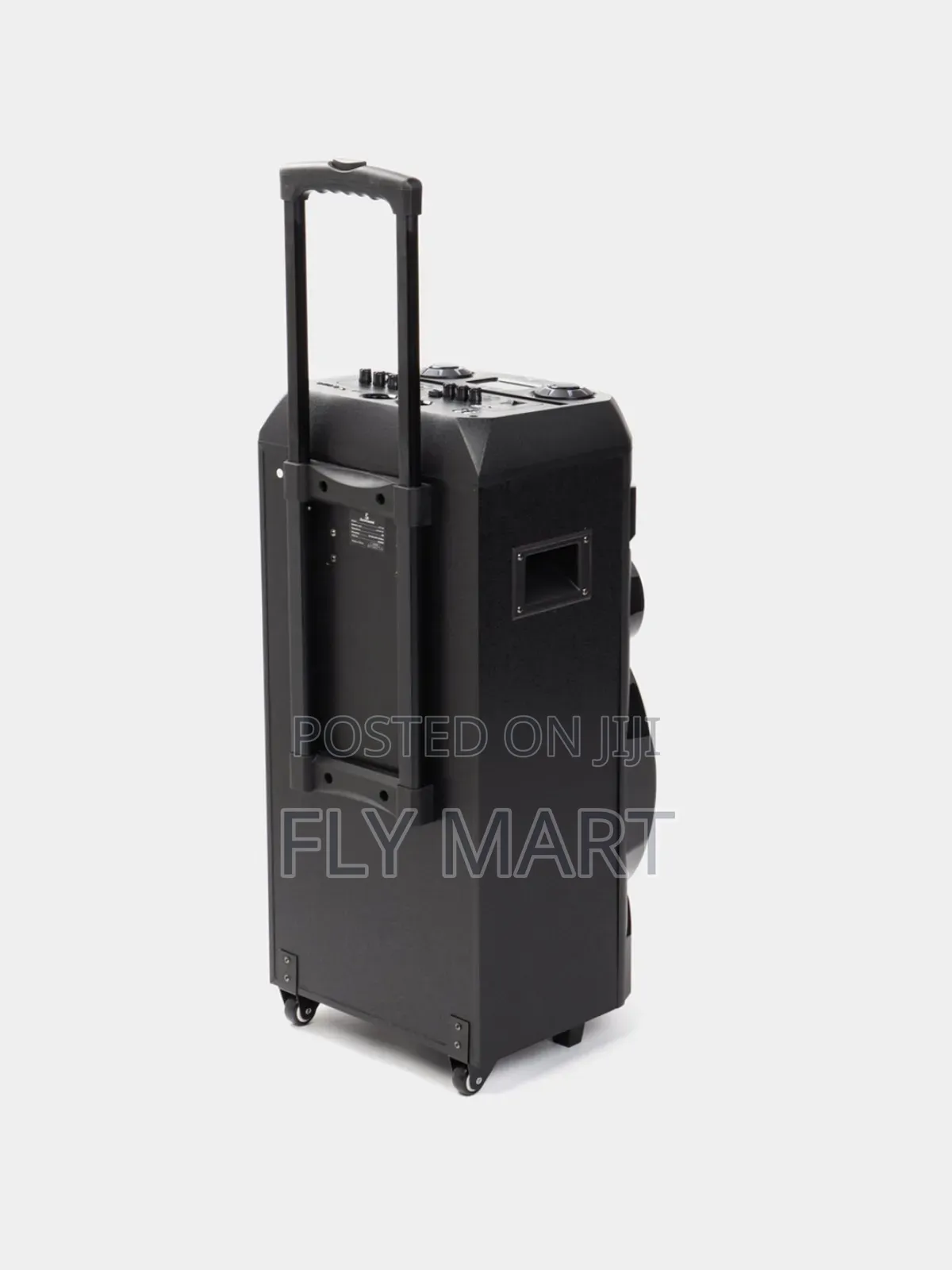 Avcrowns Professional Battery Speaker