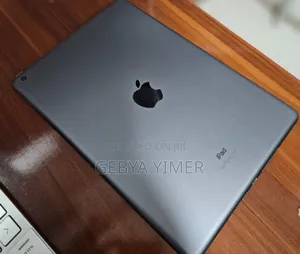 New Apple iPad Pro 256 GB Gray