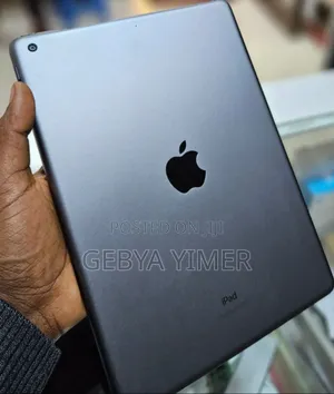 New Apple iPad Pro 256 GB Gray