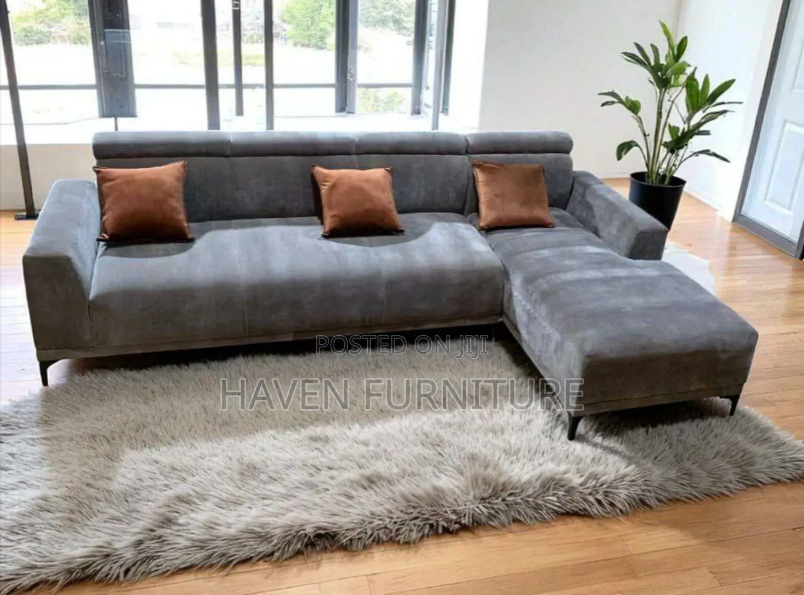 Grey Cool Color Sofa
