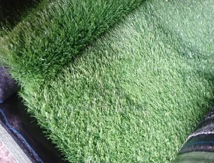 Artificial Grass