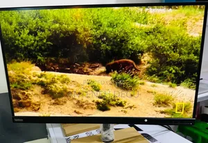 Photo - Framless Monitor Lenovo