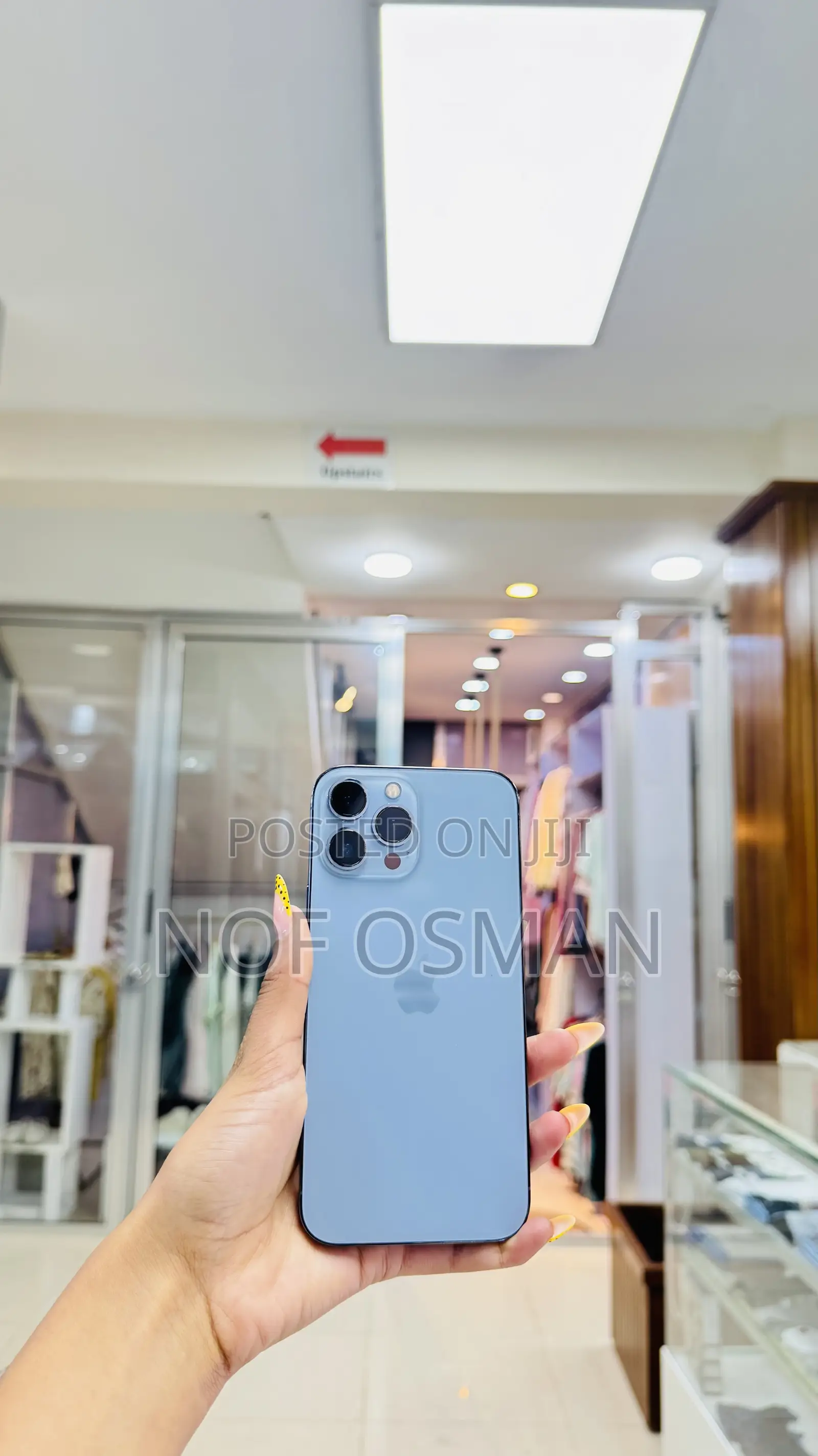 Apple iPhone 13 Pro Max 256 GB Blue