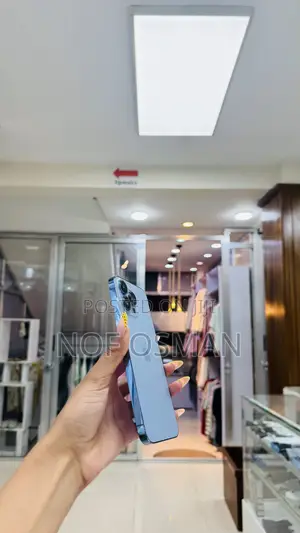 Apple iPhone 13 Pro Max 256 GB Blue