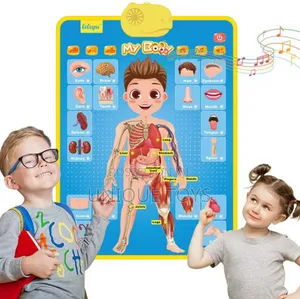 Photo - My Body Talking Poster – Interactive Educational Toy