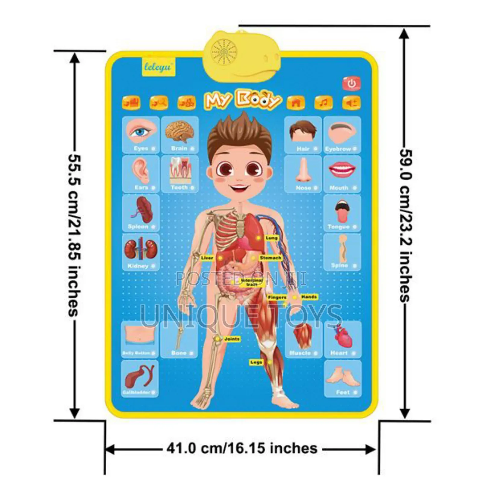 My Body Talking Poster – Interactive Educational Toy