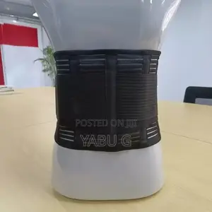 Back Support Belt Lumbar Pad Men Women Breathable Waist