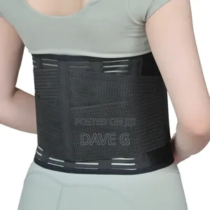 Back Support Belt