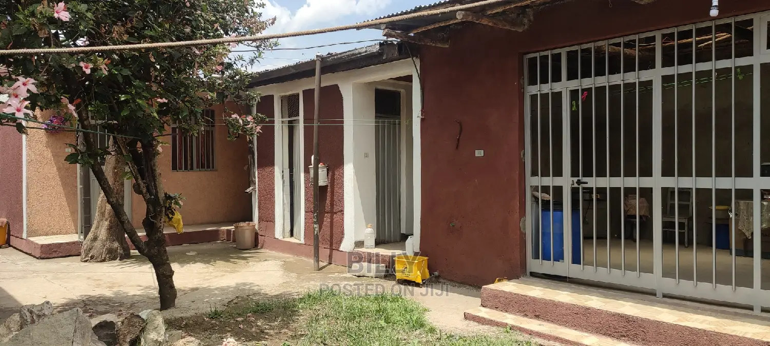 House and Warehouse Shager City Near Asko Addis Sefer