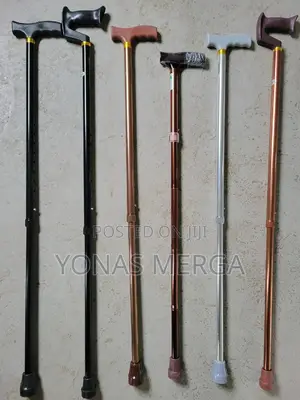 Walking Sticks/Cane~Department Has Everything to Support Your Mobility
