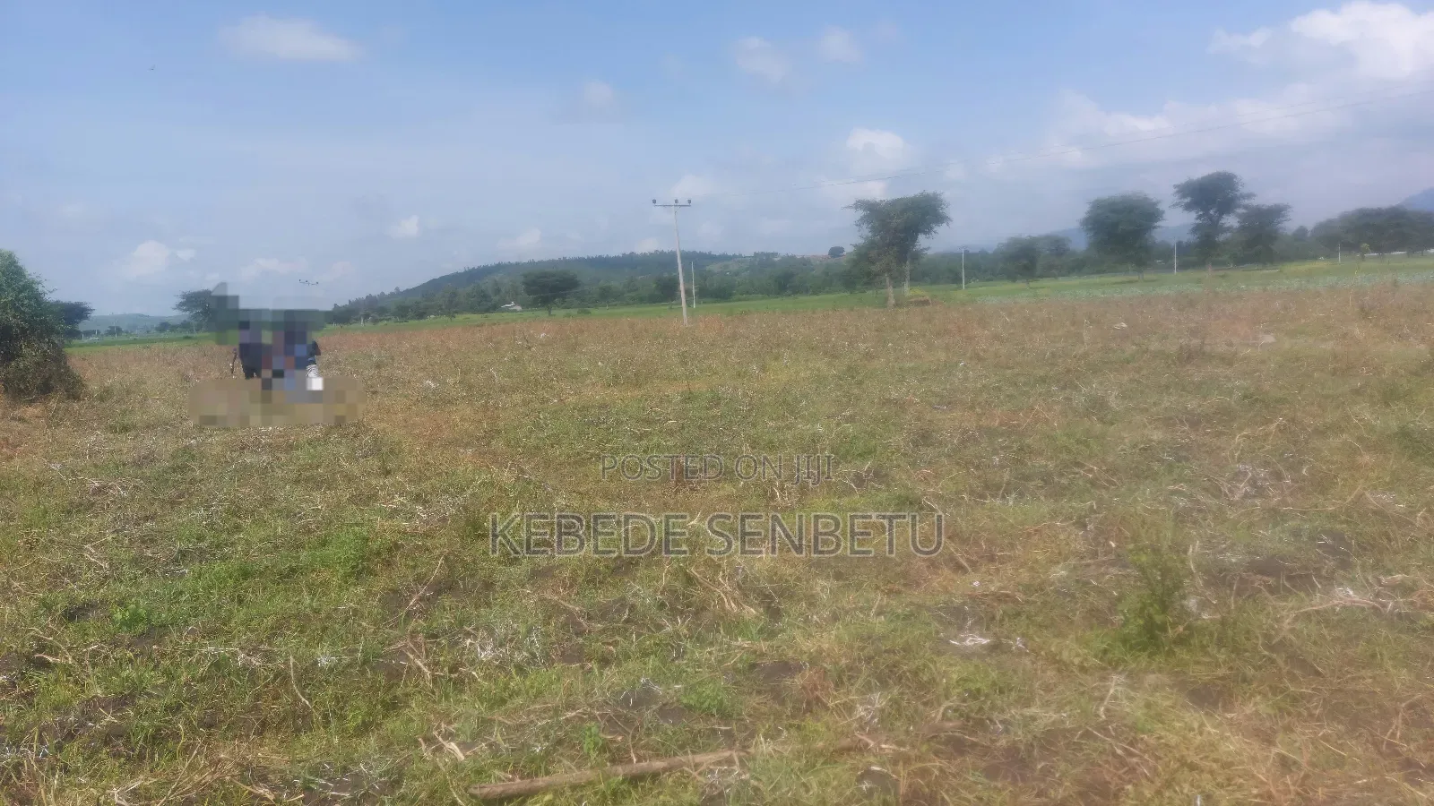 Plantingland For Rent