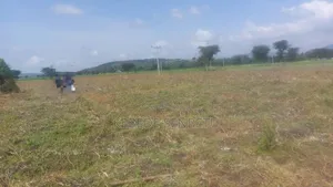 Photo - Plantingland For Rent