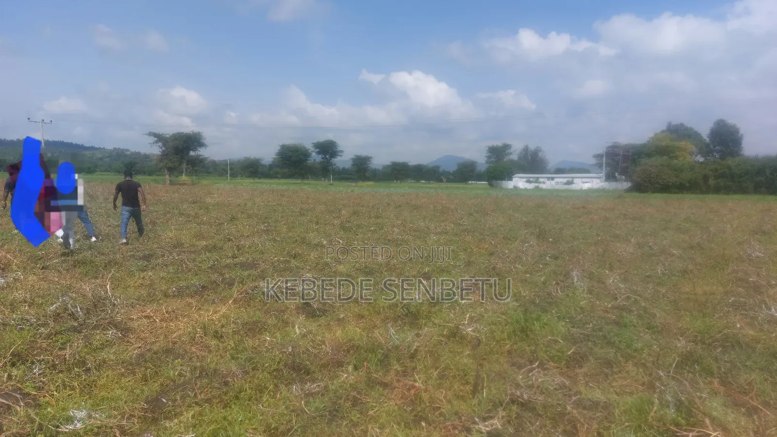 Plantingland For Rent