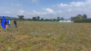 Plantingland For Rent