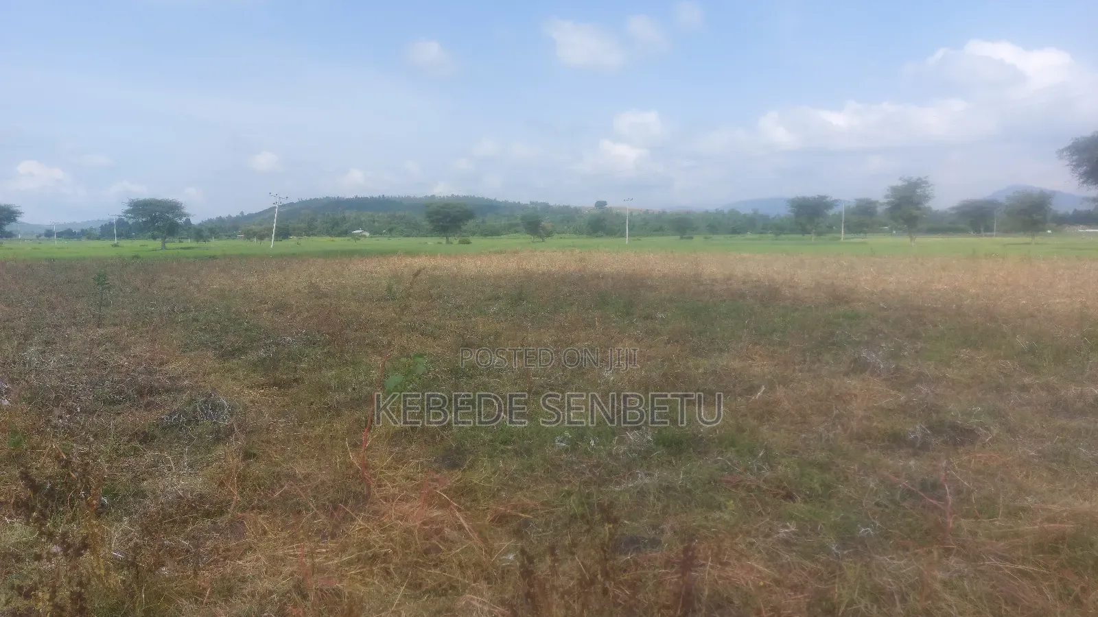 Plantingland For Rent