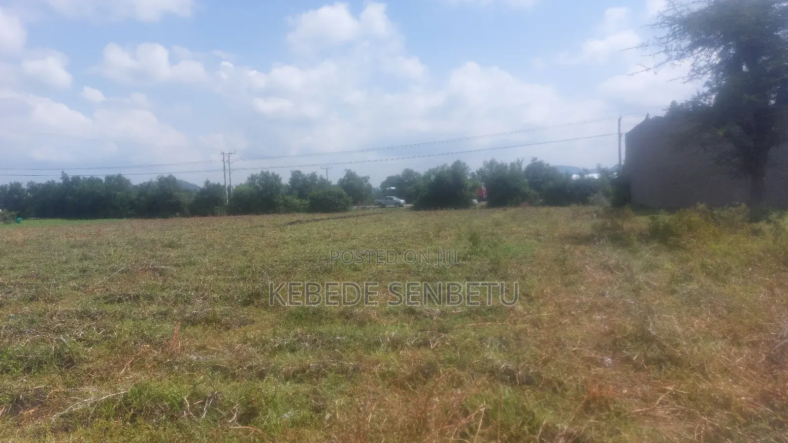 Plantingland For Rent