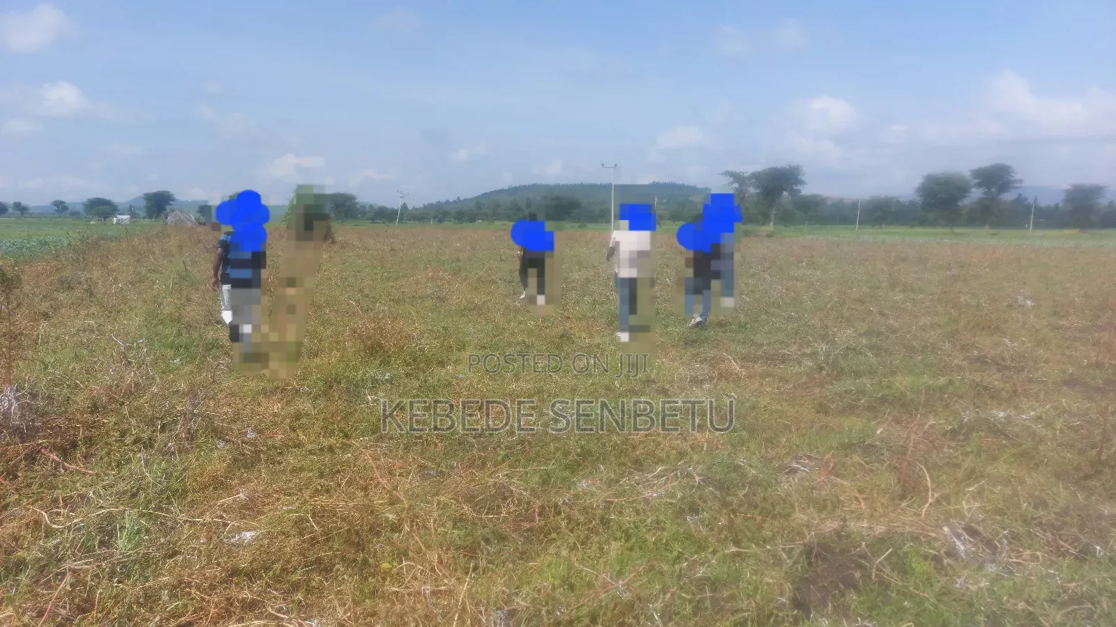 Plantingland For Rent