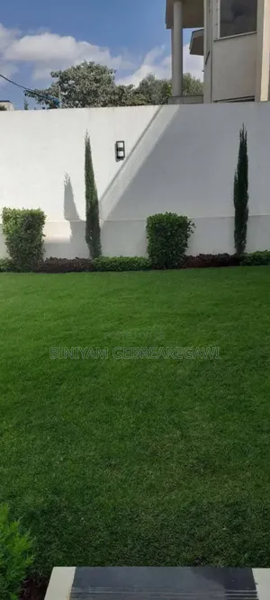 Photo - 8bdrm House in G+2, Yeka for rent