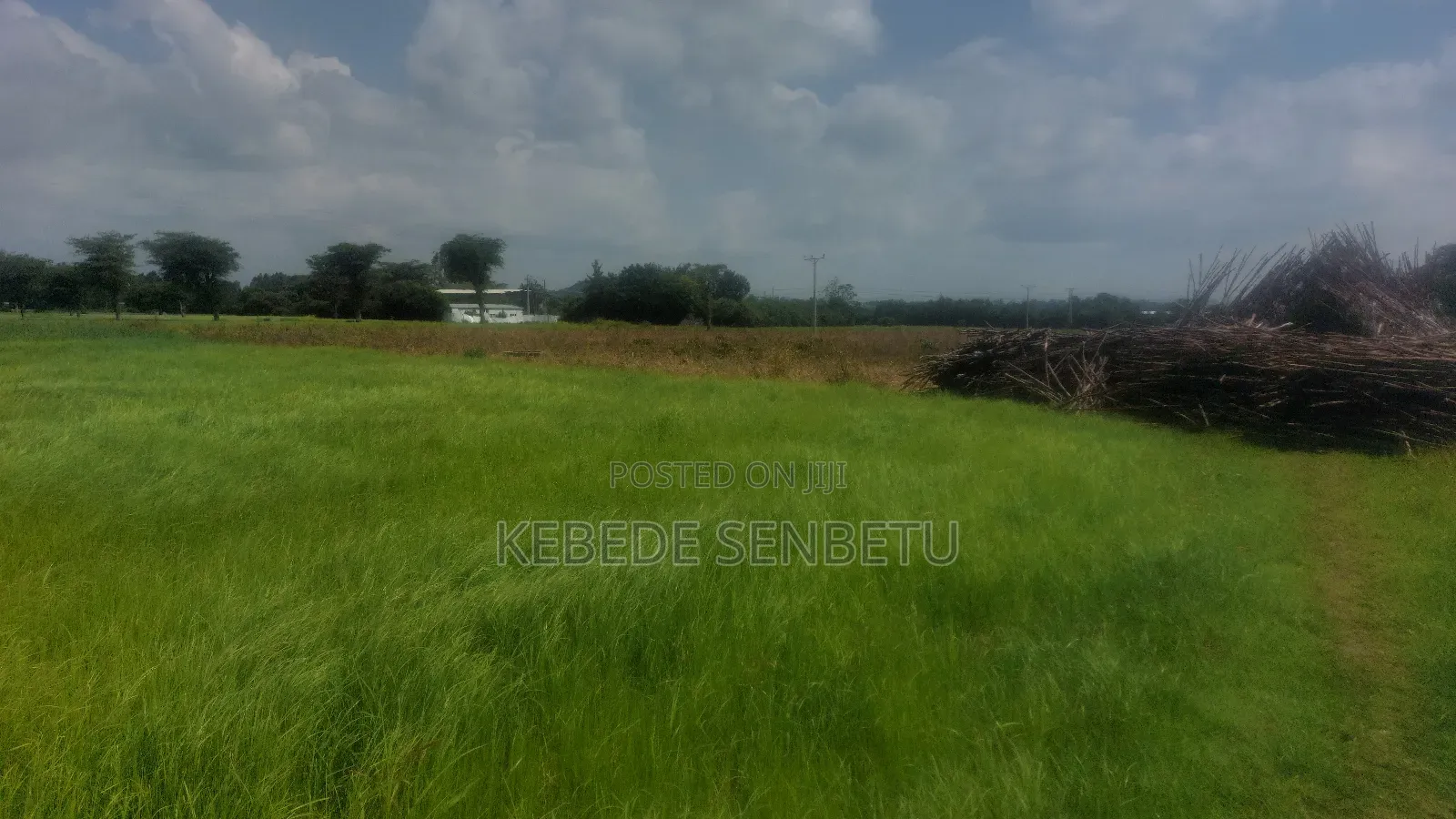 Farmland for Rent