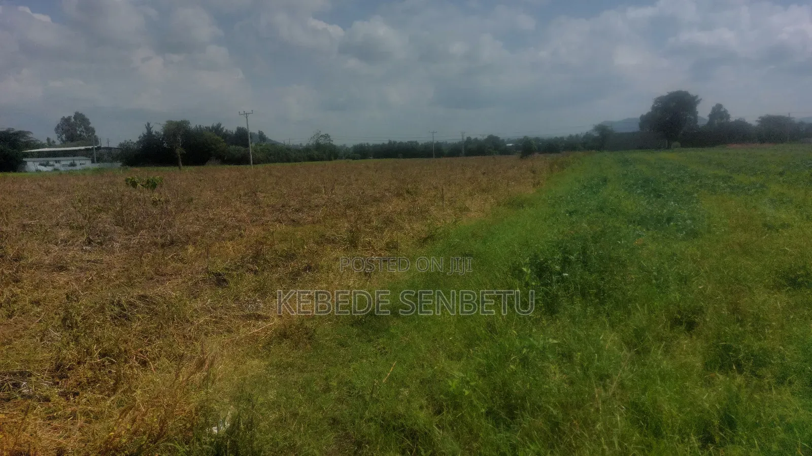 Farmland for Rent