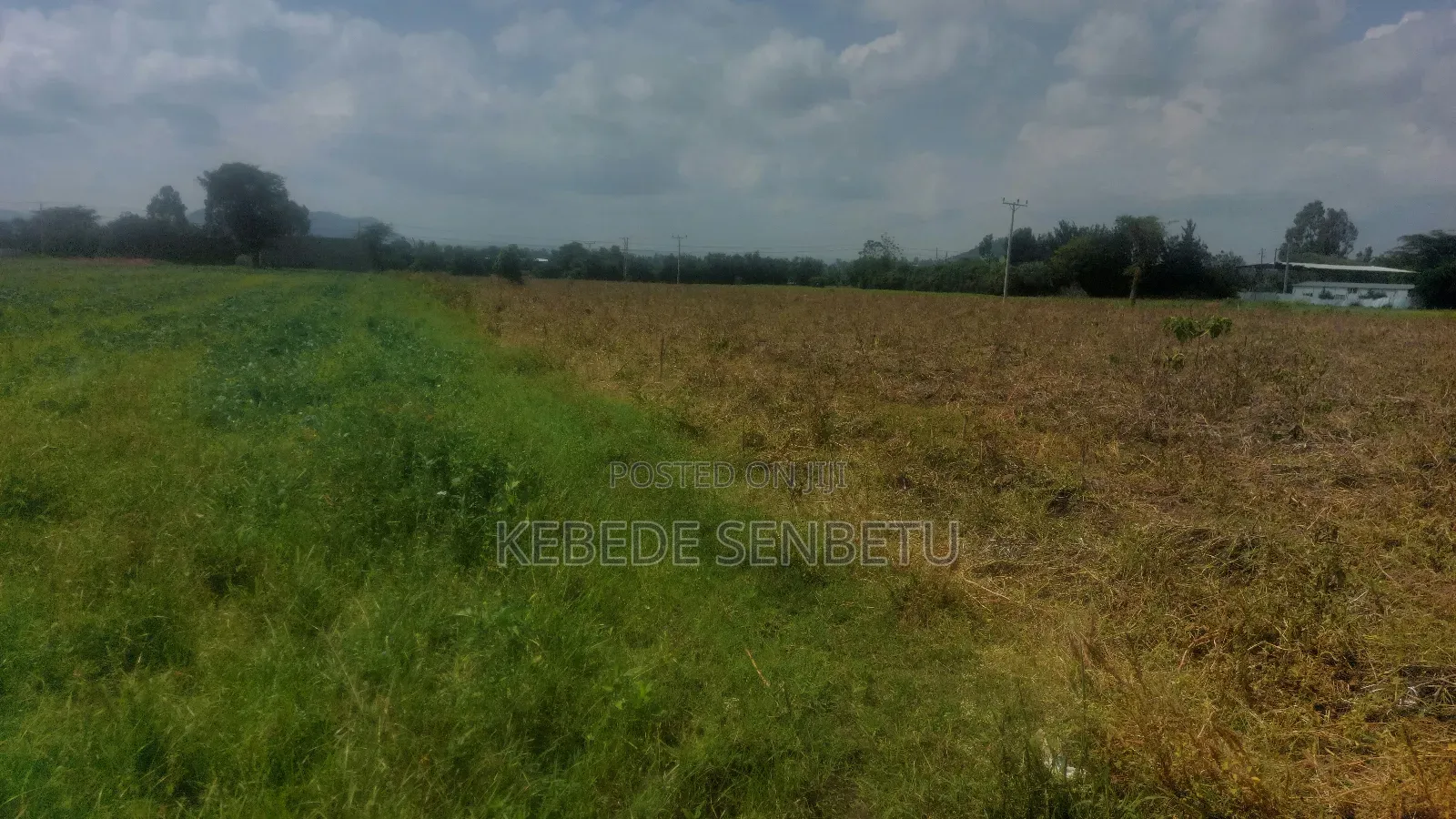 Farmland for Rent