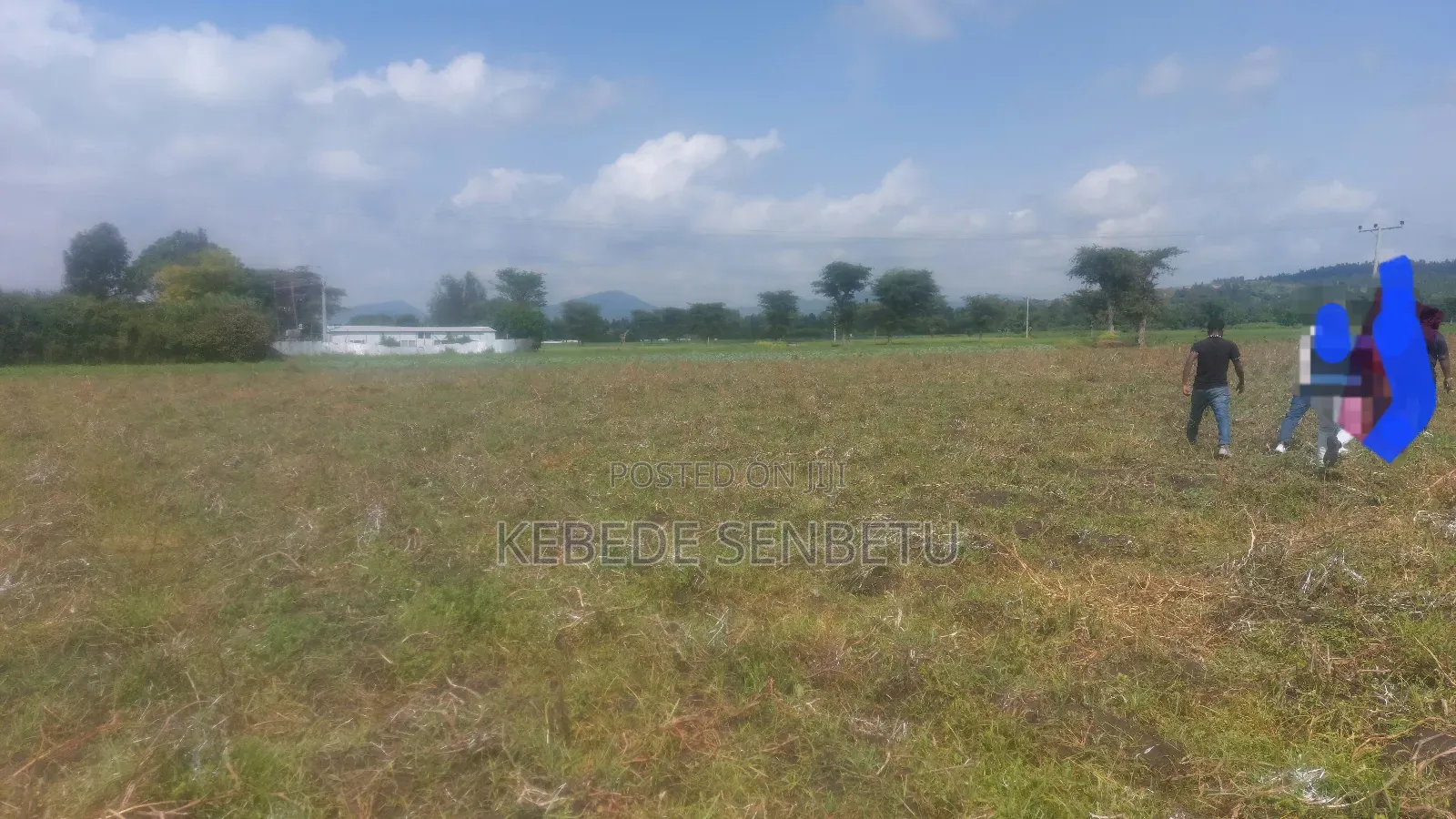 Farmland for Rent