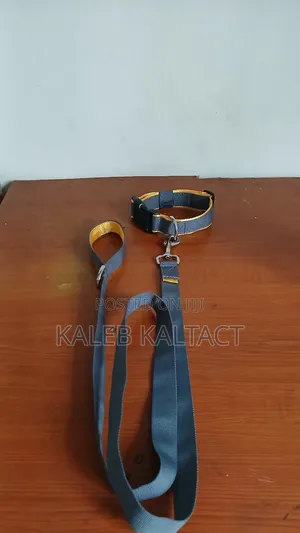 Photo - Dog Leash and Collar/ያንገት እና መጎተቻው