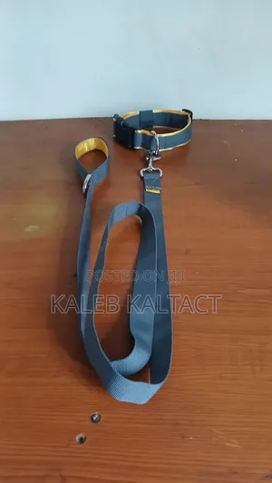 Dog Leash and Collar/ያንገት እና መጎተቻው