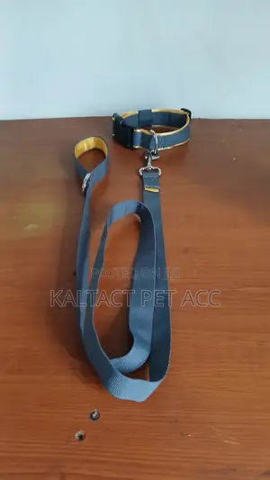 Dog Leash and Collar/ያንገት እና መጎተቻው