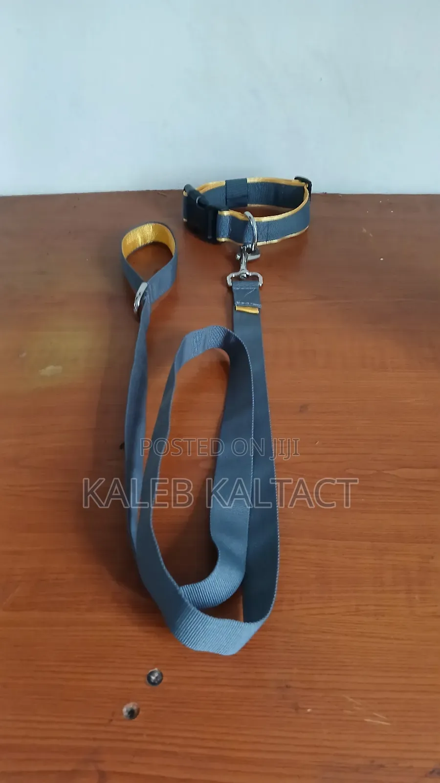 Dog Leash and Collar/ያንገት እና መጎተቻው