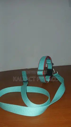 የውሻ ማሰሪያ /Dog Leash and Collar