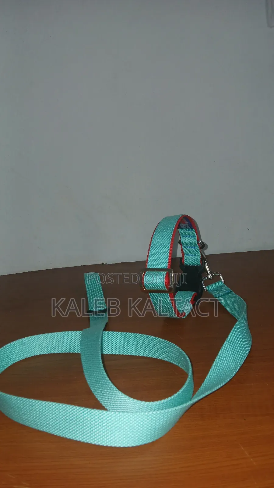 የውሻ ማሰሪያ /Dog Leash and Collar