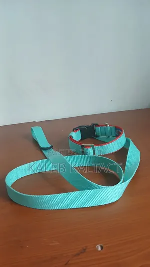 የውሻ ማሰሪያ /Dog Leash and Collar