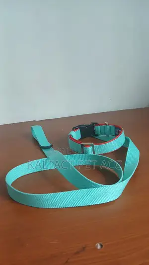 የውሻ ማሰሪያ /Dog Leash and Collar