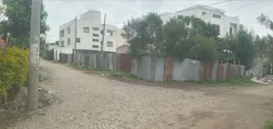 Photo - Aschekuay Yemishet Bota