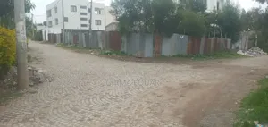 Aschekuay Yemishet Bota