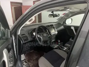 Toyota Land Cruiser Prado 2019 Gray