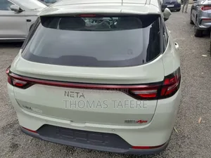 New Hozon Neta Aya 2025 Green