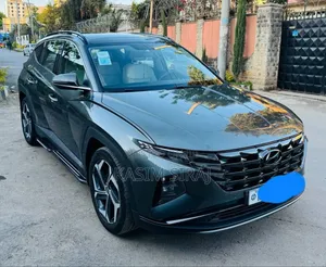 Hyundai Tucson Limited 2023 Gray