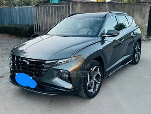 Hyundai Tucson Limited 2023 Gray