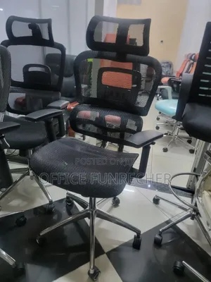 Mangerle Erigononci Chairs