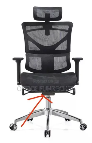 Mangerle Erigononci Chairs