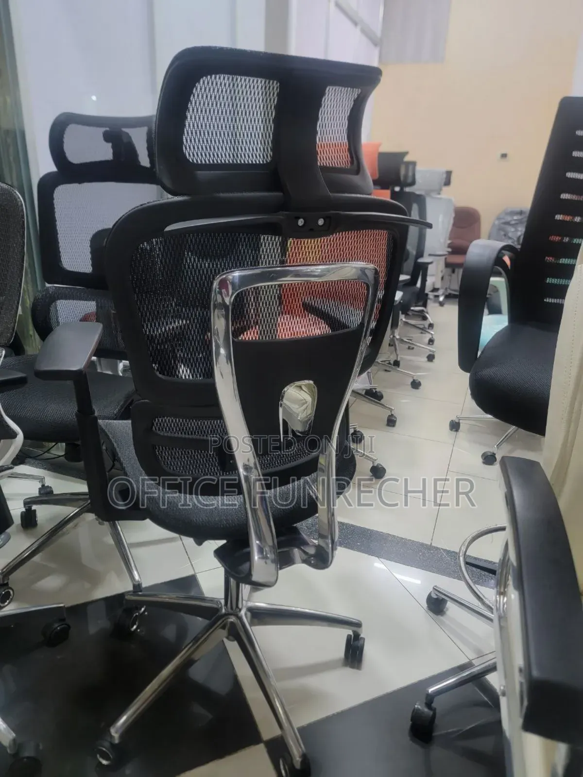 Mangerle Erigononci Chairs