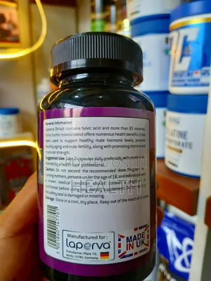 Shilajit for Brain Function