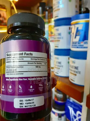 Shilajit for Brain Function